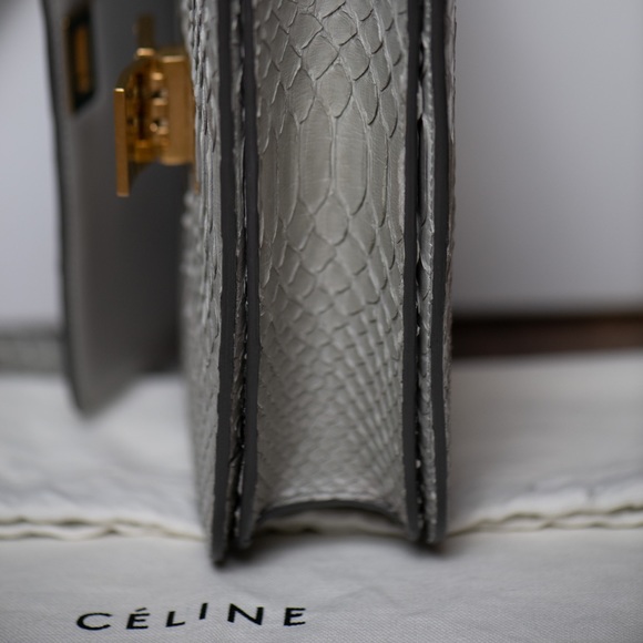 Celine Medium Box Bag - Grey Python Leather - Picture 4 of 9